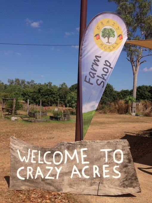 We were welcomed at Crazy Acres!  Stephen serviced some vehicles and got the fork lift going that had been in the shed for the past 18 months.  I even helped with the ice-cream production!