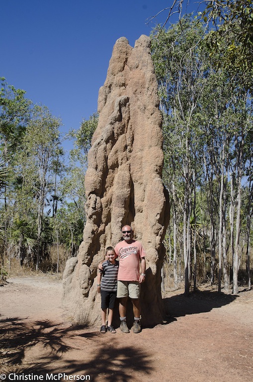 The Cathedral Termite Mound