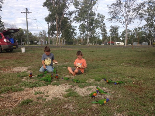 The boys feeding the Lorikeets the day we arrived